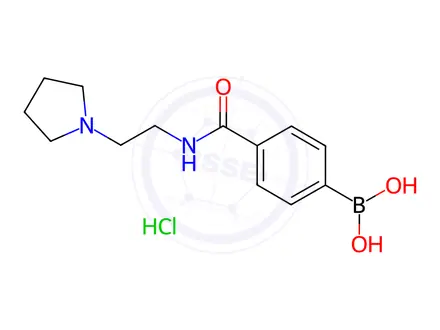 Chemical structure of 4-(2-(Pyrrolidin-1-yl)ethylcarbamoyl)phenylboronic Acid Hydrochloride