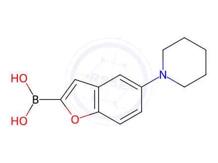 Chemical structure of (5-(Piperidin-1-yl)benzofuran-2-yl)boronic acid