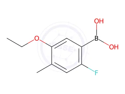 Chemical structure of 5-Ethoxy-2-fluoro-4-methylphenylboronic aicd