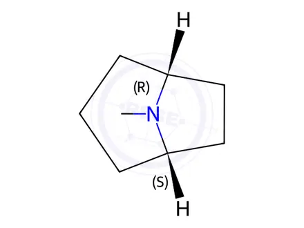 Chemical structure of Tropane