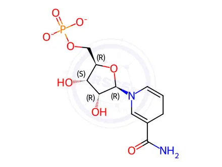 Chemical structure of NMNH