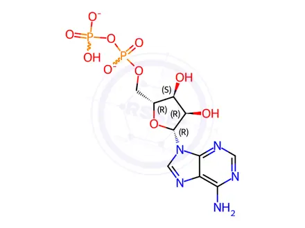 Chemical structure of Adenosine 5'-(trihydrogen diphosphate), magnesium salt
