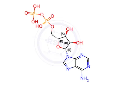 Chemical structure of ((2r,3s,4R,5r)-5-(6-Amino-9h-purin-9-yl)-3,4-dihydroxytetrahydrofuran-2-yl)methyl trihydrogen diphosphate,tribarium salt