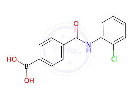 Chemical structure of (4-((2-Chlorophenyl)carbamoyl)phenyl)boronic acid