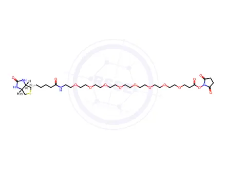 Chemical structure of Biotin-PEG8-NHS ester