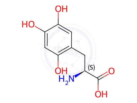 Chemical structure of 6-Hydroxy-L-DOPA