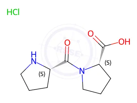 Chemical structure of 1-L-Prolyl-L-proline Hydrochloride