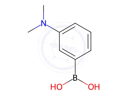 Chemical structure of 3-(N,N-Dimethylamino)phenylboronic Acid