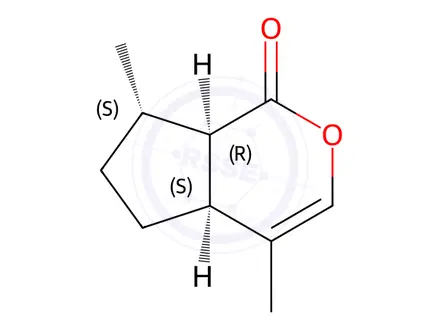Chemical structure of Nepetalacton