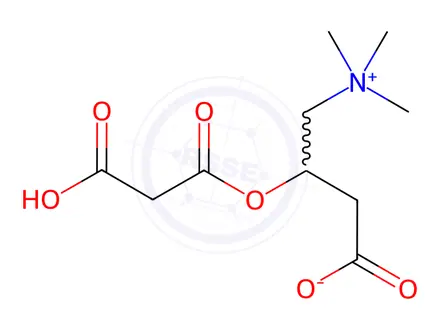 Chemical structure of Malonylcarnitine