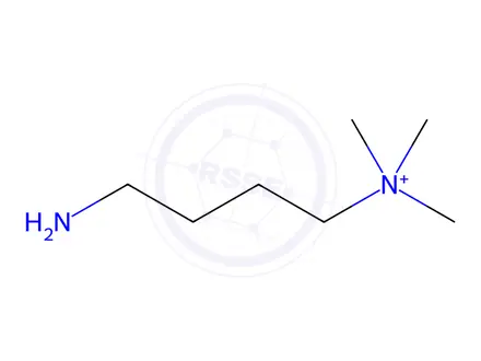 Chemical structure of (4-aminobutyl)trimethylazanium chloride hydrochloride