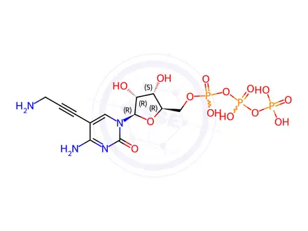 Chemical structure of Cytidine 5'-(tetrahydrogen triphosphate), 5-(3-amino-1-propyn-1-yl)-