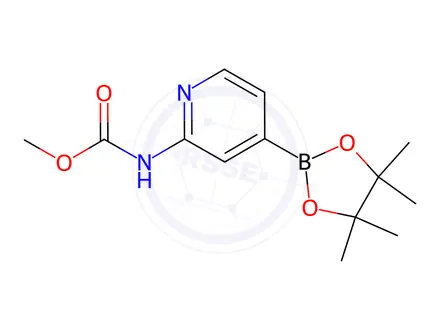 Chemical structure of Methyl (4-(4,4,5,5-tetramethyl-1,3,2-dioxaborolan-2-yl)pyridin-2-yl)carbamate