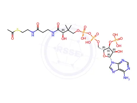 Chemical structure of Xanomeline Impurity 32