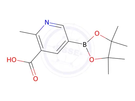 Chemical structure of 2-Methyl-5-(4,4,5,5-tetramethyl-1,3,2-dioxaborolan-2-yl)nicotinic acid