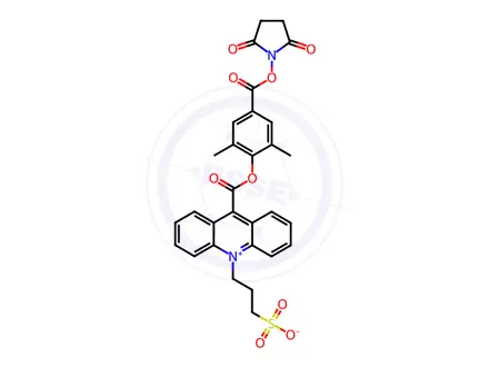 Chemical structure of 2',6'-Dimethylcarbonylphenyl-10-sulfopropylacridinium-9-carboxylate 4'-NHS Ester