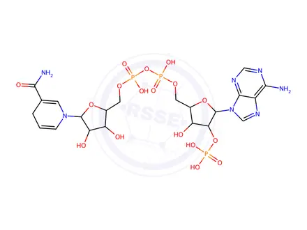 Chemical structure of Adenosine 5'-(trihydrogen diphosphate) 2'-(Dihydrogen Phosphate) P'-5'-Ester with (4S)-1,4-Dihydro-1-