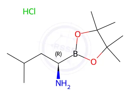 Chemical structure of (R)-3-Methyl-1-(4,4,5,5-Tetramethyl-1,3,2-Dioxaborolan-2-yl)Butan-1-Amine Hydrochloride