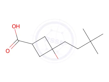 Chemical structure of 3-(3,3-dimethylbutyl)-3-hydroxycyclobutane-1-carboxylic acid