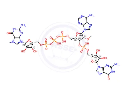 Chemical structure of Guanosine, 7-methylguanylyloxyphosphinicooxyphosphinico-(5'→5')-2'-O-methyladenylyl-(3'→5')-, inner salt (9CI)