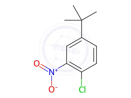 Chemical structure of 4-tert-Butyl-1-chloro-2-nitrobenzene