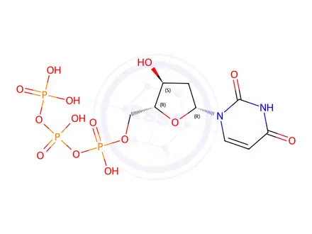Chemical structure of 2‘-Deoxyuridine-5’-triphosphate sodium salt
