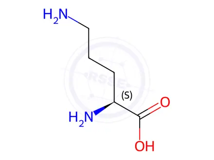 Chemical structure of L-Ornithine