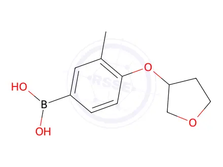Chemical structure of [3-methyl-4-(oxolan-3-yloxy)phenyl]boronic acid