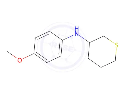 Chemical structure of N-(4-methoxyphenyl)tetrahydro-2H-thiopyran-3-amine