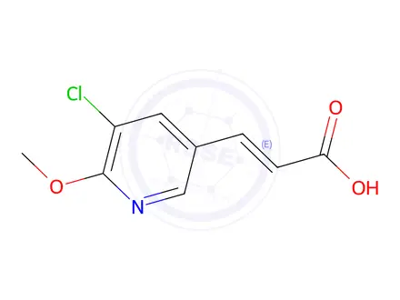 Chemical structure of 3-(5-Chloro-6-methoxypyridin-3-yl)acrylic acid