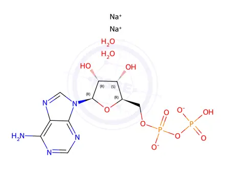 Chemical structure of Sodium ((2R,3S,4R,5R)-5-(6-amino-9H-purin-9-yl)-3,4-dihydroxytetrahydrofuran-2-yl)methyl hydrogendiphosphate dihydrate
