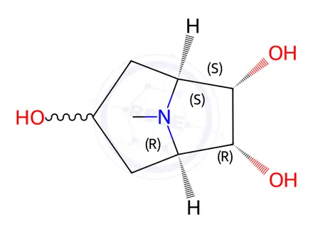 Chemical structure of Tiotropium Bromide Impurity 74