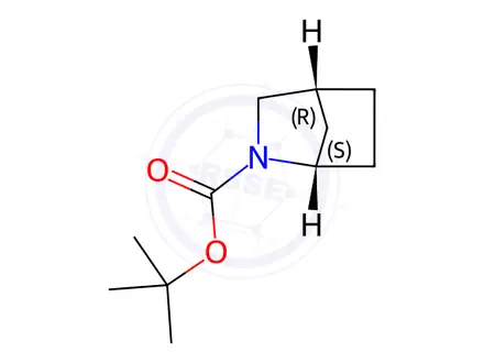 Chemical structure of tert-butyl (1S,4R)-2-azabicyclo[2.2.1]heptane-2-carboxylate
