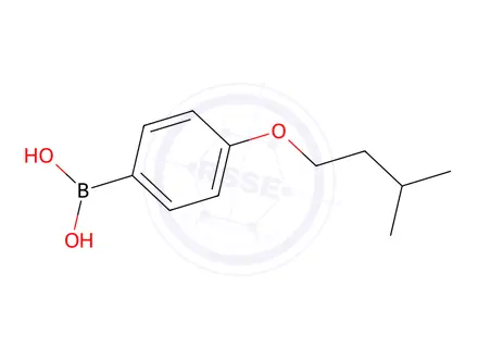 Chemical structure of (4-(Isopentyloxy)phenyl)boronic acid