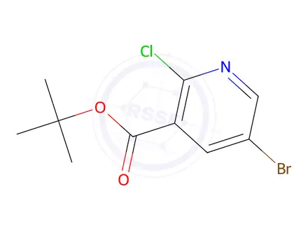 Chemical structure of 5-Bromo-2-chloronicotinic acid tert-butyl ester