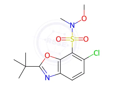 Chemical structure of 2-t-Butyl-6-chlorobenzoxazole-7-(N-Methyl-N-Methoxy)sulfonaMide