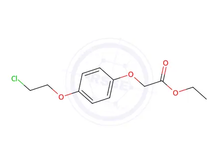 Chemical structure of Ethyl 2-[4-(2-chloroethoxy)phenoxy]acetate