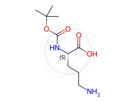 Chemical structure of Boc-Orn-OH