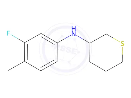 Chemical structure of n-(3-Fluoro-4-methylphenyl)tetrahydro-2h-thiopyran-3-amine