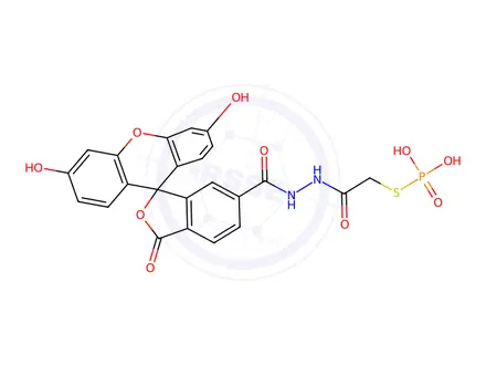 Chemical structure of 3',6'-dihydroxy-3-oxo-spiro(isobenzofuran-1(3H),9'-9H-xanthene)-6-carboxylic acid 2-((phosphonothio)acetyl)hydrazide
