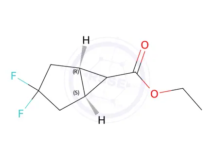 Chemical structure of Bicyclo[3.1.0]hexane-6-carboxylic acid, 3,3-difluoro-, ethyl ester, (1-alpha-,5-alpha-,6-alpha-)-(9CI)