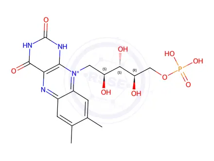 Chemical structure of rel-Methyl (3R,4S)-4-(4-fluorophenyl)-1-methyl-2,6-dioxopiperidine-3-carboxylate