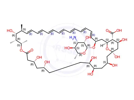 Chemical structure of Amphotericin B