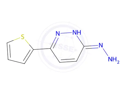 Chemical structure of 6-Hydrazono-3-(thiophen-2-yl)-1,6-dihydropyridazine