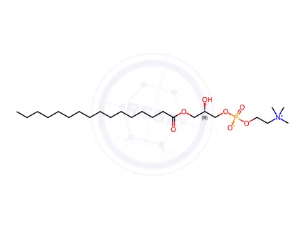 Chemical structure of Phosphonylcholine Impurity 5