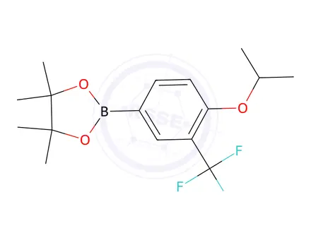 Chemical structure of Pinacol 4-Isopropanoxy-3-(trifluoromethyl)benzeneboronate