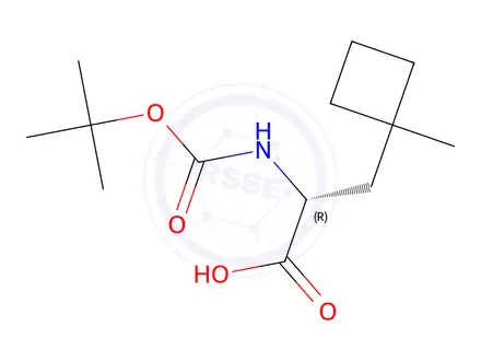 Chemical structure of (R)-2-((tert-Butoxycarbonyl)amino)-3-(1-methylcyclobutyl)propanoic acid