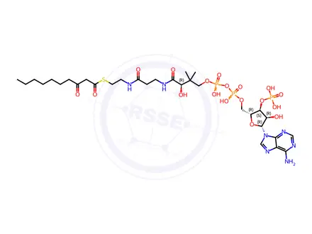 Chemical structure of 10:0 (3-Oxo) CoA