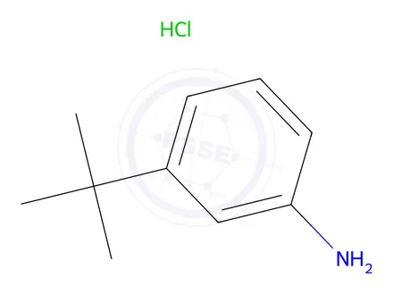 Chemical structure of 3-(Tert-butyl)aniline hydrochloride