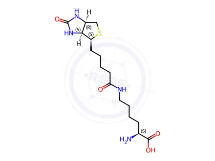 Chemical structure of Biocytin